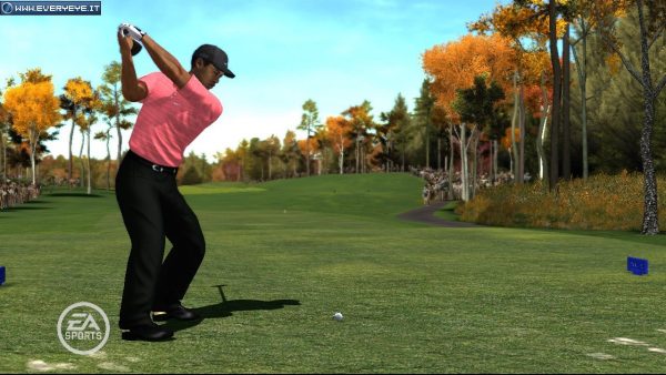 tiger woods pga tour