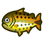 Animal Crossing Pesce Corifena